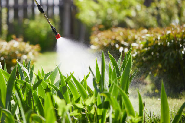 24/7 Emergency Mosquito Control experts in Cumberland, WI