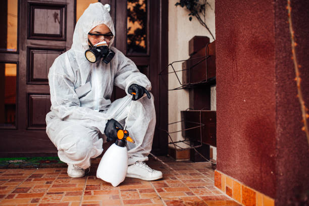 Reliable Mosquito Control contractor in Cumberland, WI by Show Me Pest Control